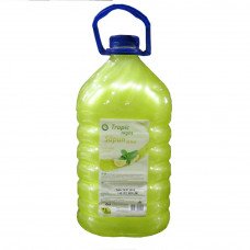 Sapun lichid lamiie/menta 5L