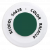 Краска-спрей акриловая Сосновый зеленый RAL6028 400мл