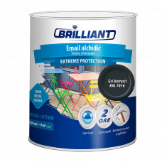 Email alchidic Extreme Protection gri antracit 0.75L