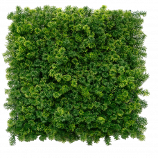 Декоративное покрытие Greenery Moss Green 50x50см